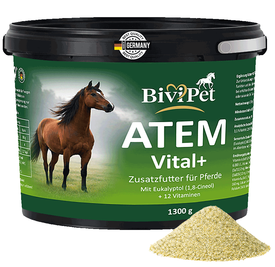 Ergänzungsfuttermittel-Pferd-Atemwege: Atem Vital+ von Bivipet. Staub im Stall, wechselndes Wetter, intensive Bewegung oder saisonale Einflüsse können die Atemwege eines Pferdes im Alltag fordern. ATEM Vital+ wurde entwickelt, um die natürliche Atemwegsfunktion gezielt zu unterstützen – kombiniert mit ausgewählten Vitaminen für Vitalität, Wohlbefinden und Leistungsbereitschaft.
